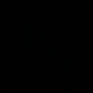 Meet your Posher, Audrey